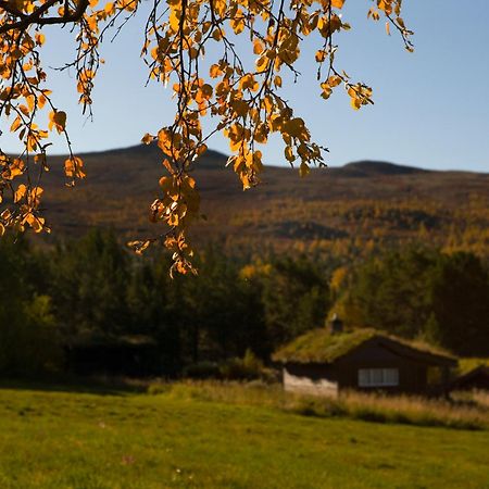 Oigardseter Fjellstue Hotel Høvringen Exterior foto