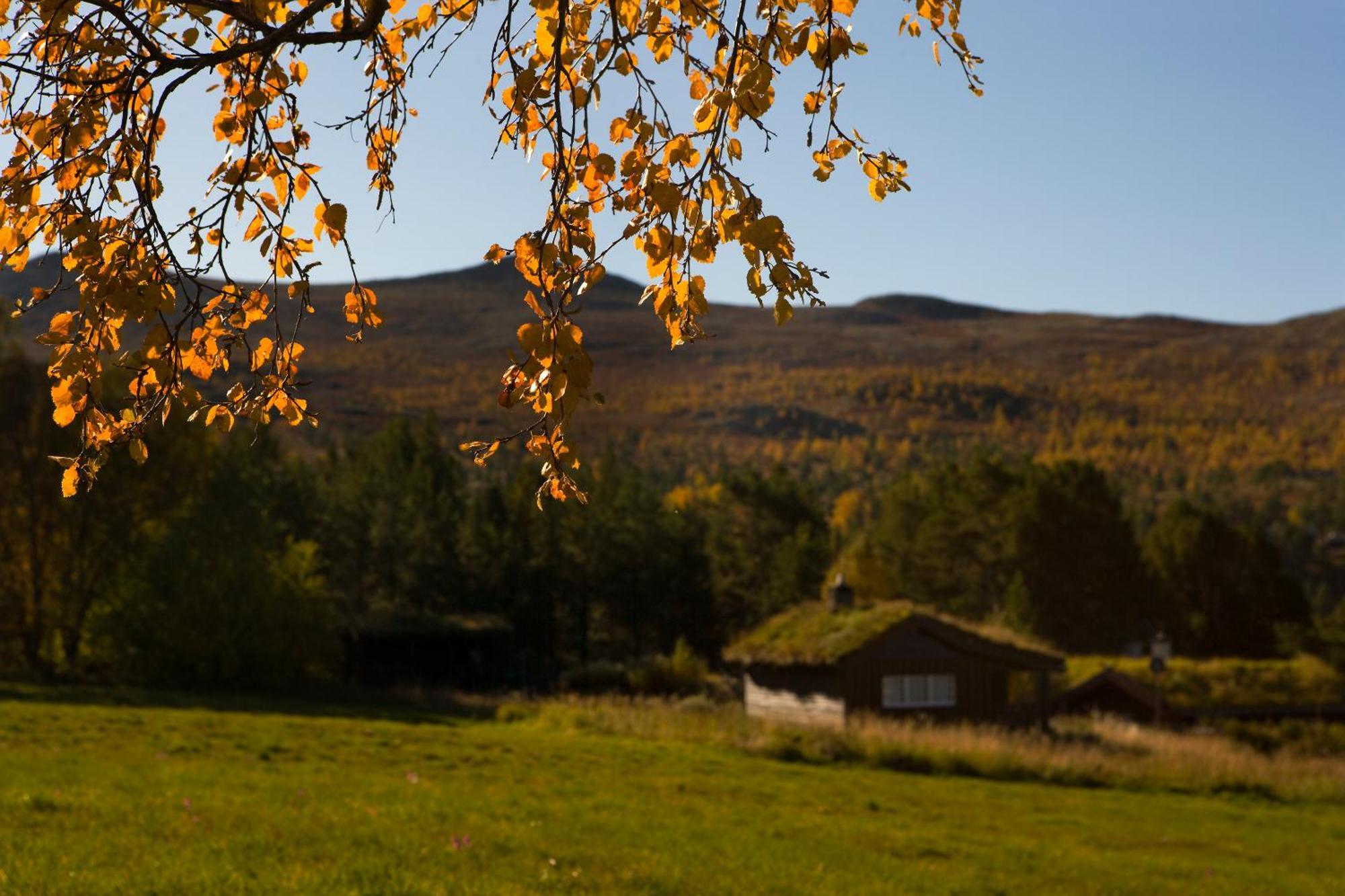 Oigardseter Fjellstue Hotel Høvringen Exterior foto